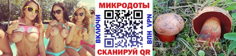 Галлюциногенные грибы Psilocybine cubensis  купить   Артёмовский 